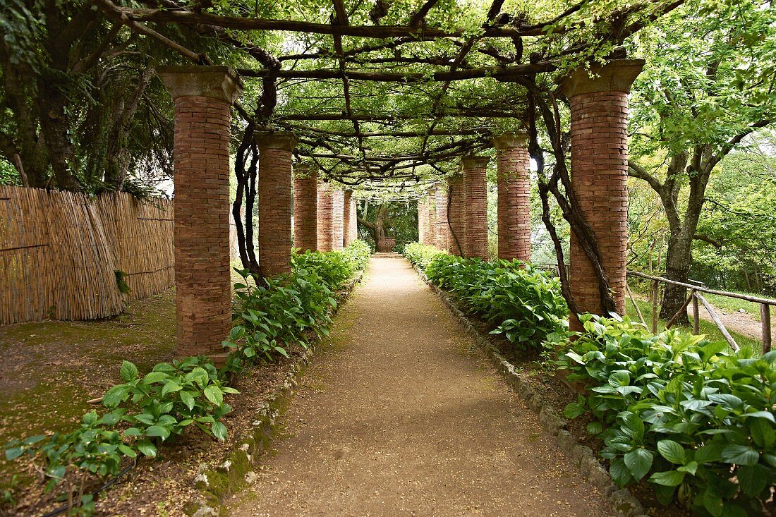 Colonnade in gardens of Villa Cimbrone below climber-covered wooden pergola