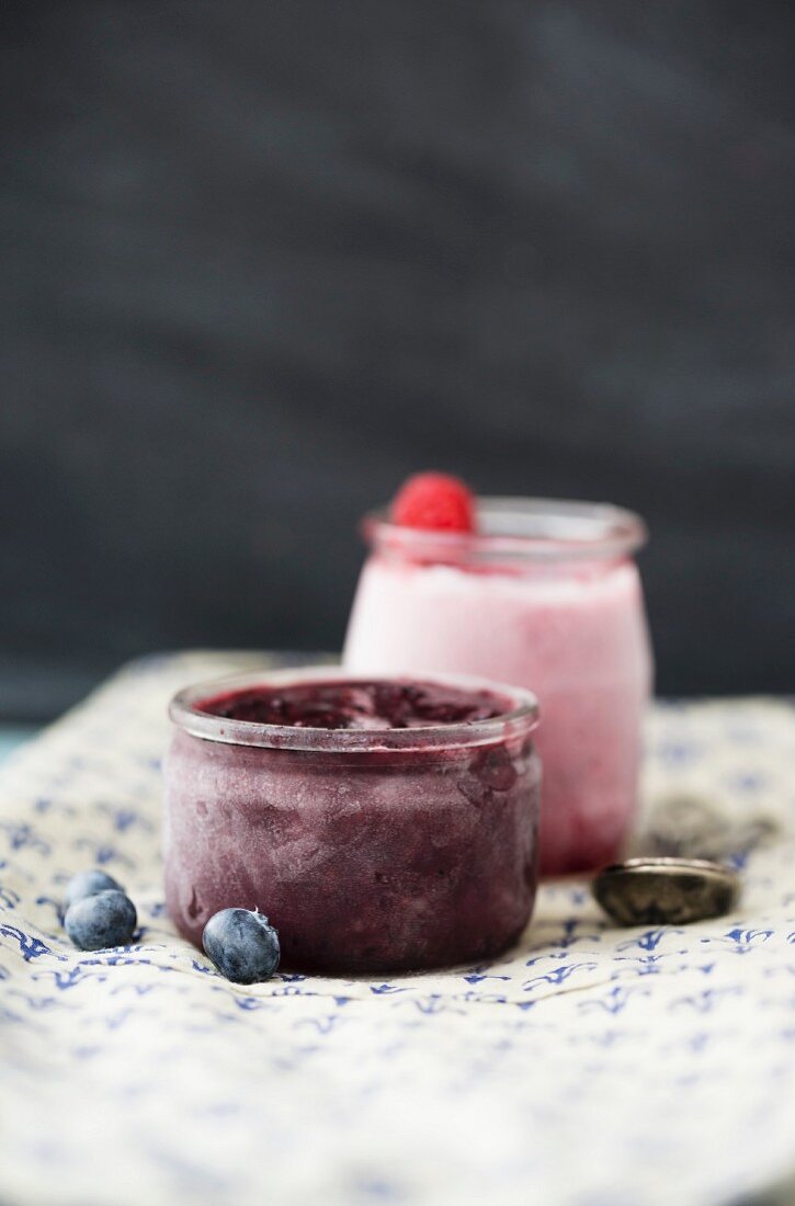 Homemade blueberry sorbet and raspberry sorbet