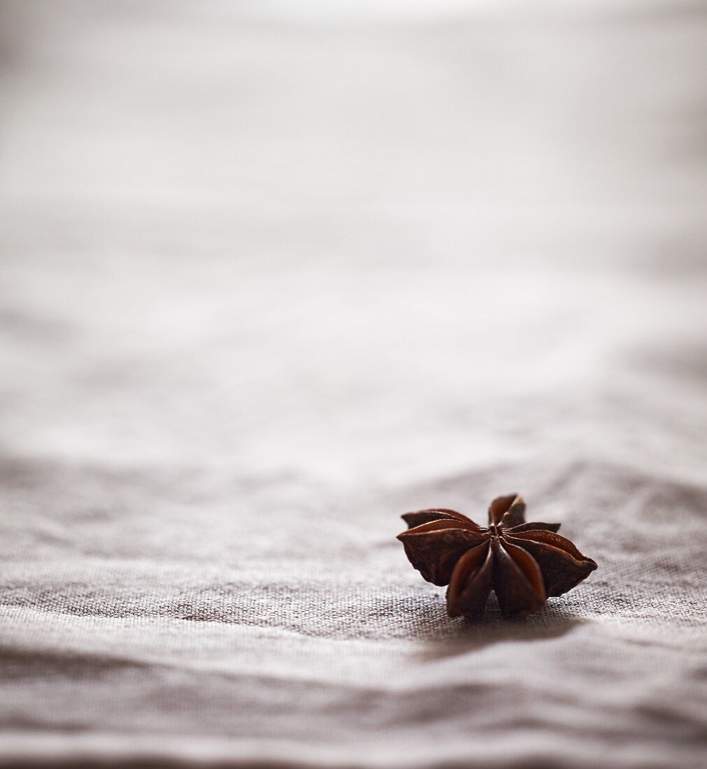 Star anise on a white tablecloth