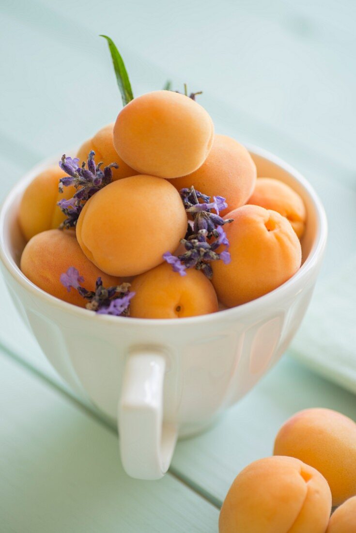 Aprikosen und Lavendelblüten in einer grossen Tasse