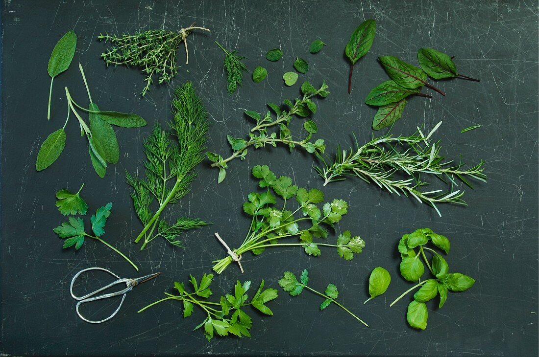 Various herbs on a dark surface (seen from above)