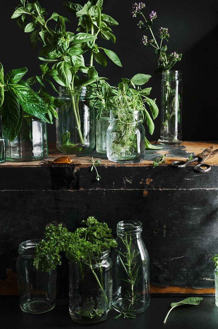 Various fresh herbs in a jars on and in front of a vintage wooden chest