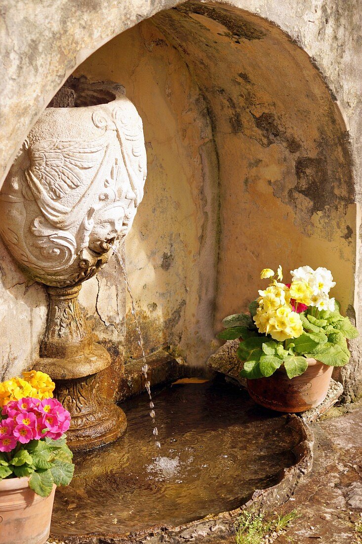 Fountain decorated with potted primulas