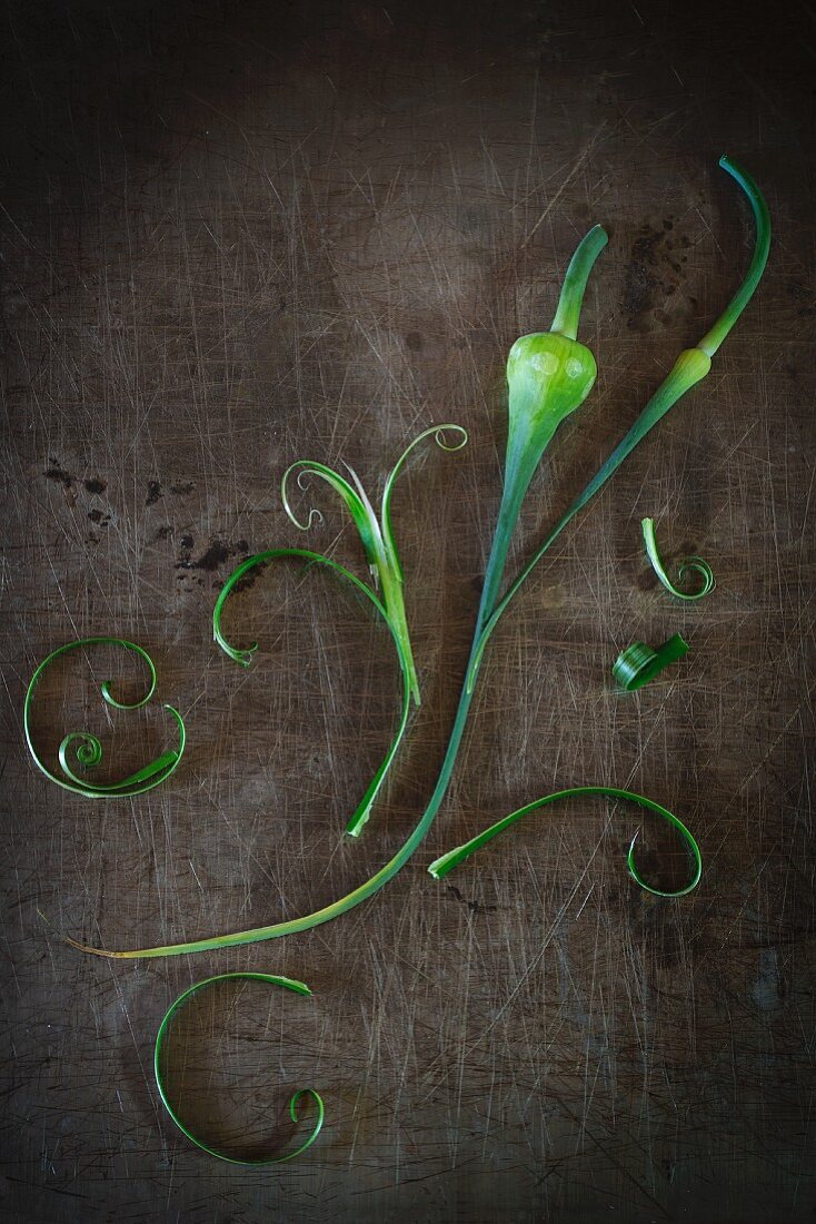 Delicate greens on a rustic metal surface