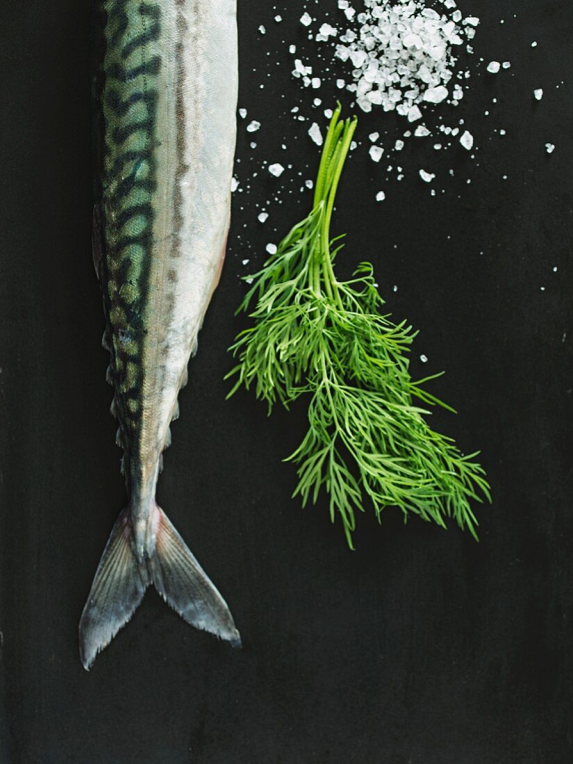 Fresh mackerel with dill and coarse salt (seen from above)