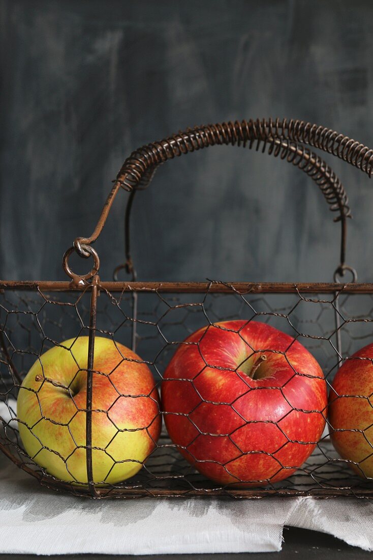 Äpfel im Vintage Drahtkorb vor grauem Hintergrund