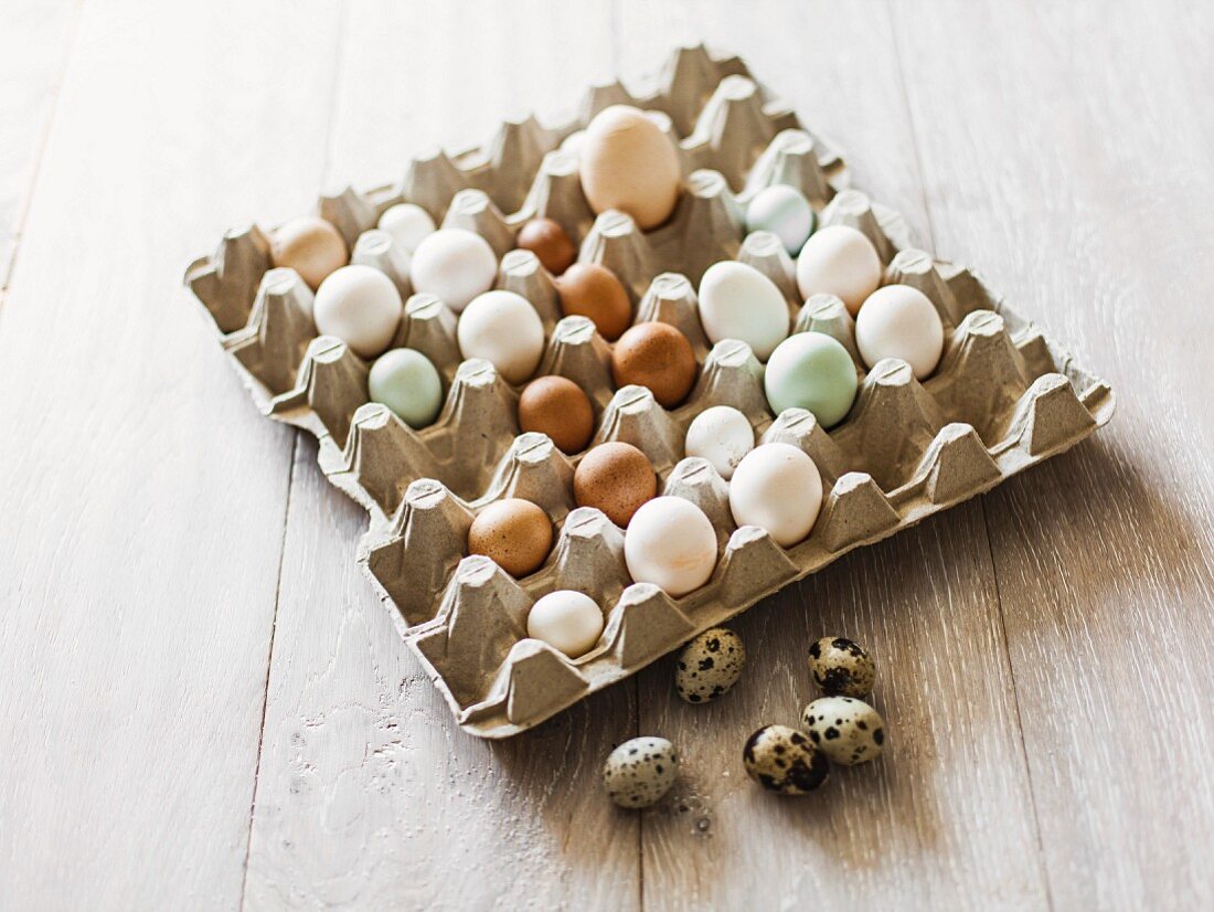 Various eggs in an egg box