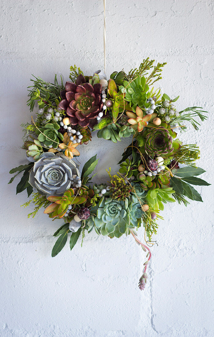 A decorative wreath of succulents