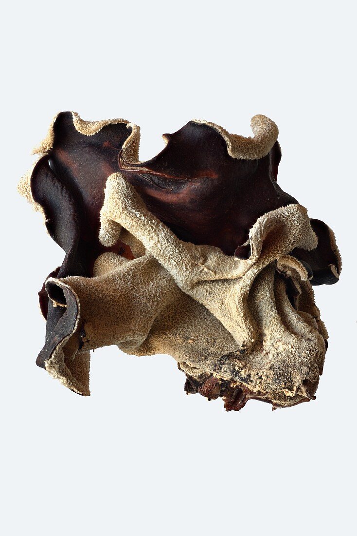 Dried mu-err mushrooms (Auricularia auricula-judae)