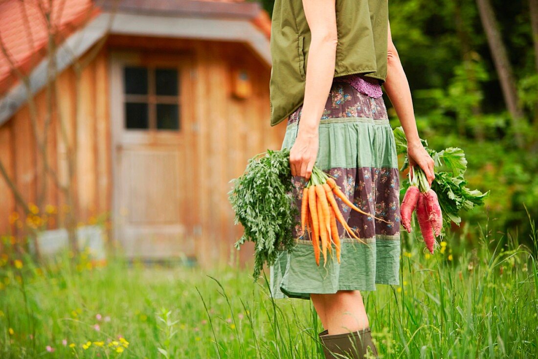 Frau mit frischen Möhren und Rettichen im Garten