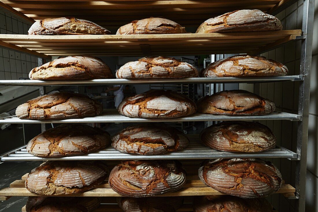 Brote in der Bäckerei