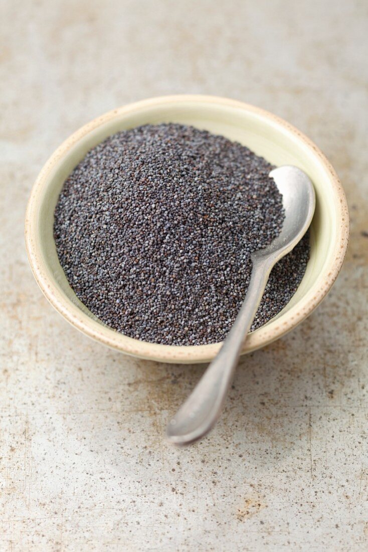 Poppy seeds in a bowl with a spoon