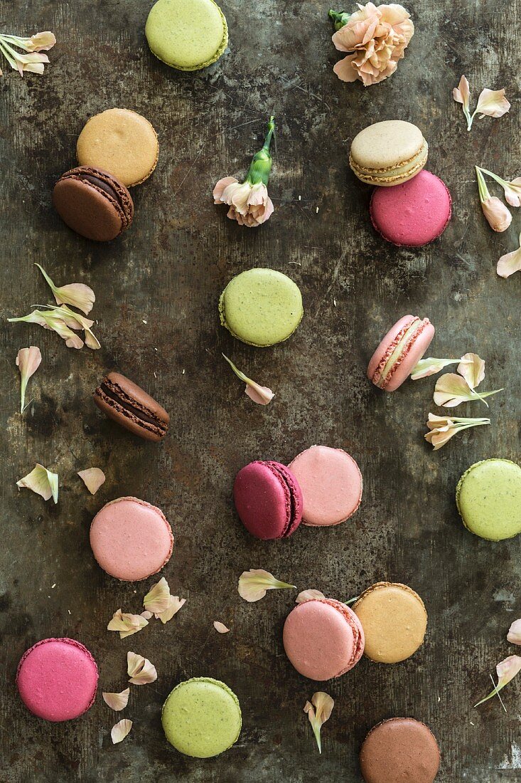 Various different coloured macaroons and flower petals