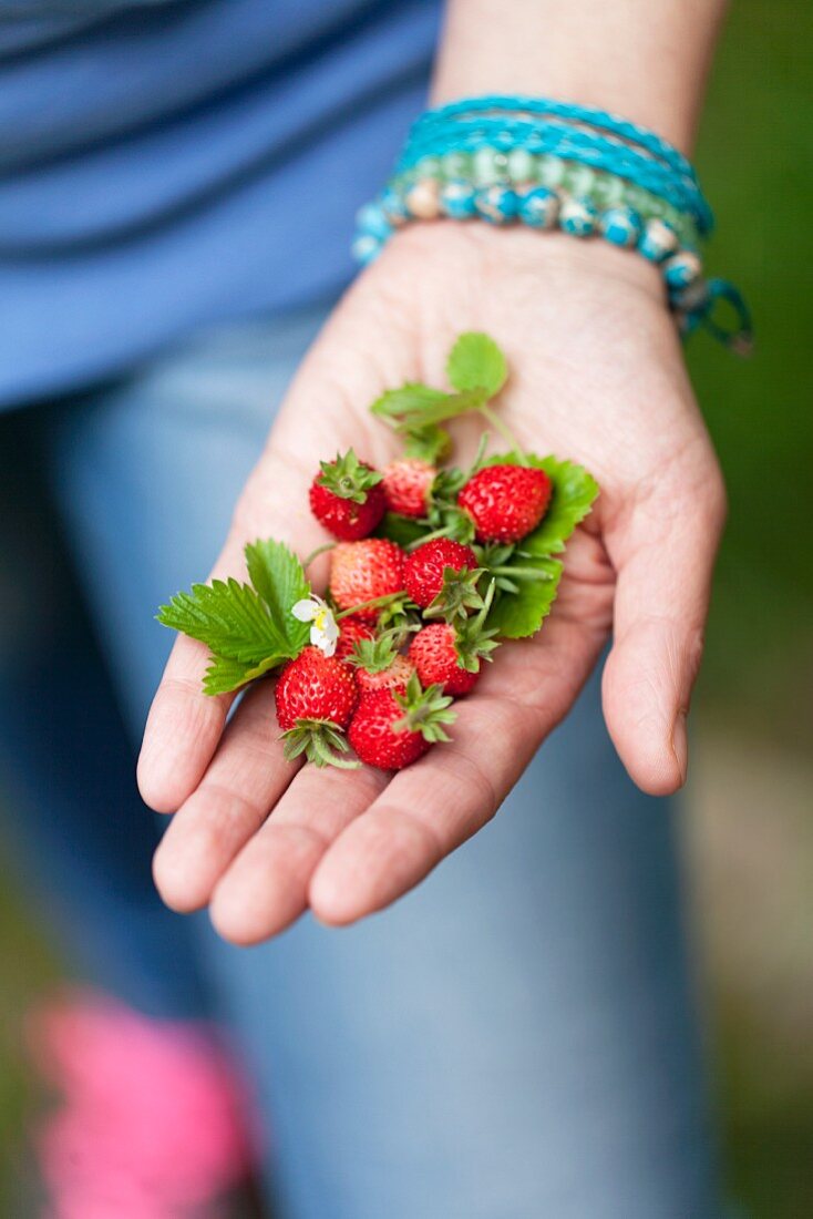 A woman holding wild strawberries