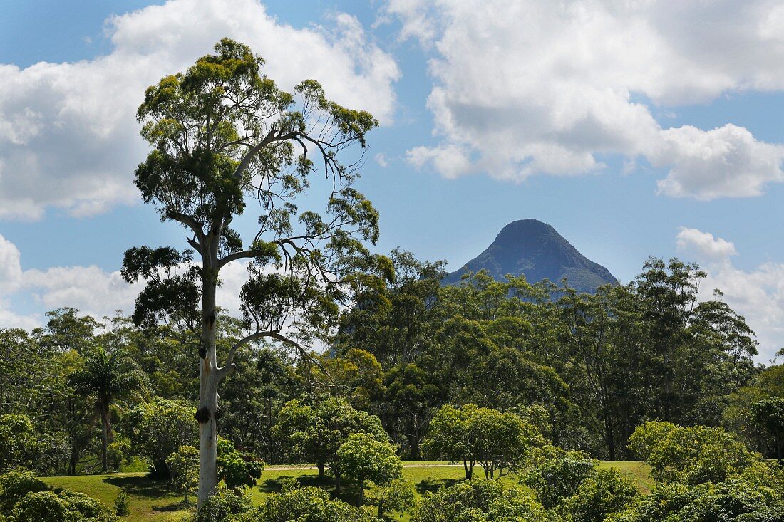 Glass House Mountains, auch Glasshouse Mountains, vulkanische Berge, Queensland, in der Nähe von Brisbane