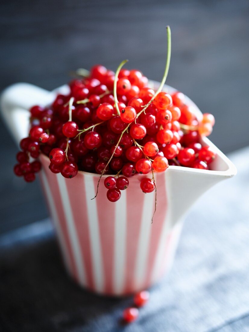 Rote Johannisbeeren in gestreiftem Milchkännchen