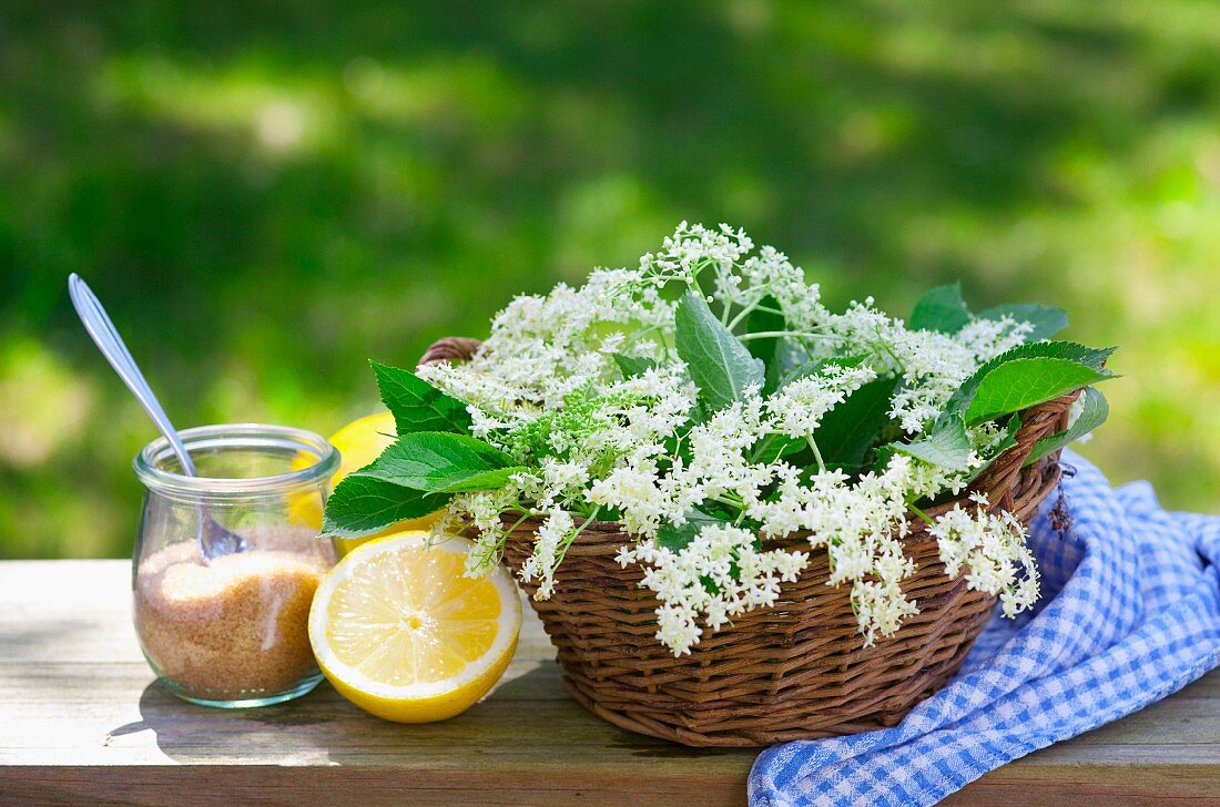 Ingredients for elderflower syrup: sugar, lemon and elderflowers