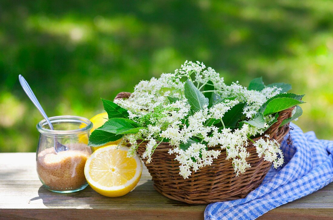 Zutaten für Holunderblütensirup: Zucker, Zitronen & Holunderblüten