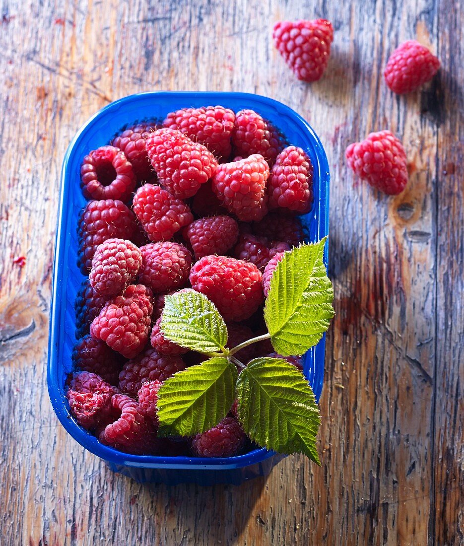 Fresh raspberries and raspberry leaves in a blue plastic punnet