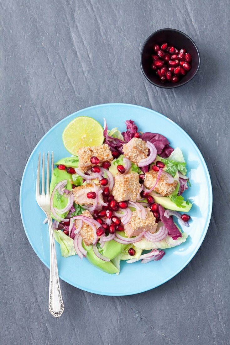 Salat mit Thunfisch insesame, Granatapfel, Avocado und roten Zwiebeln