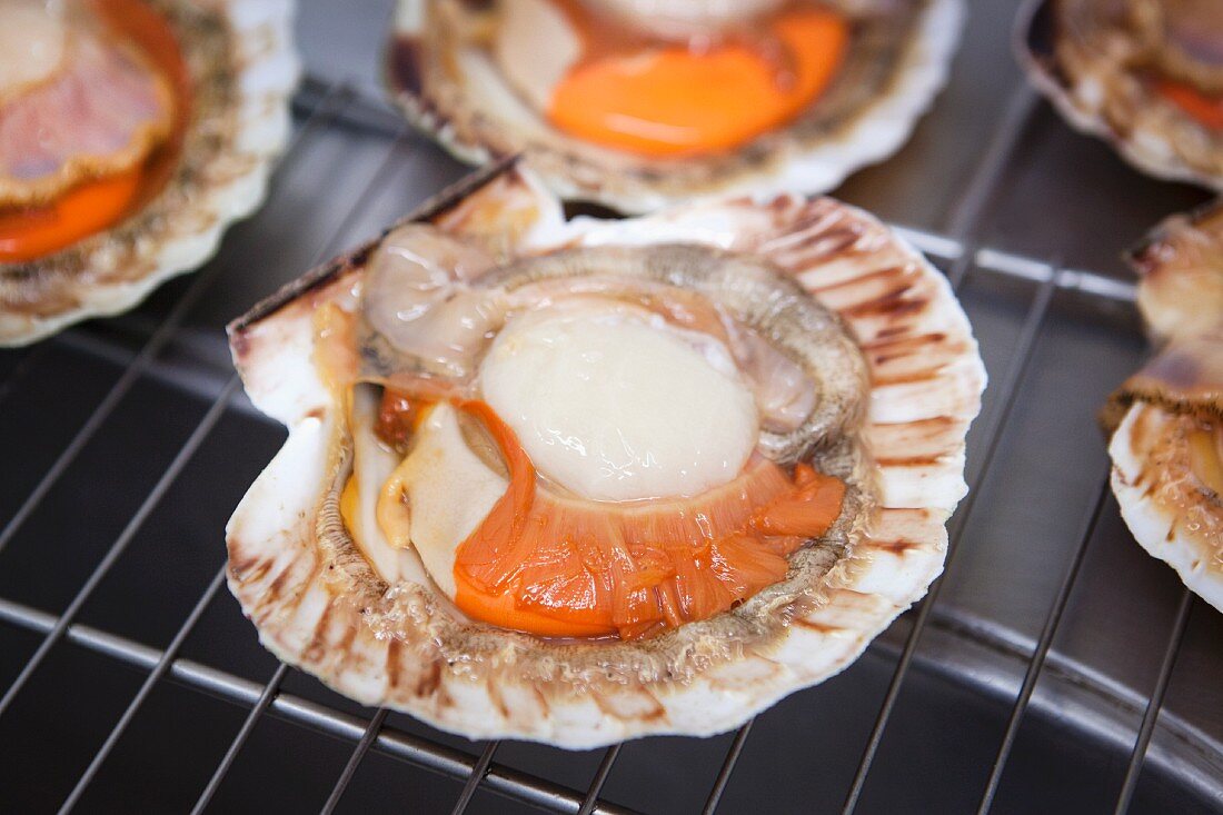 Scallops on a grill rack