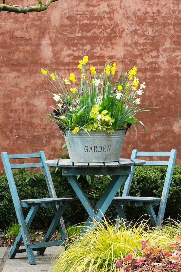 Zinc tub planted with spring flowers on garden table