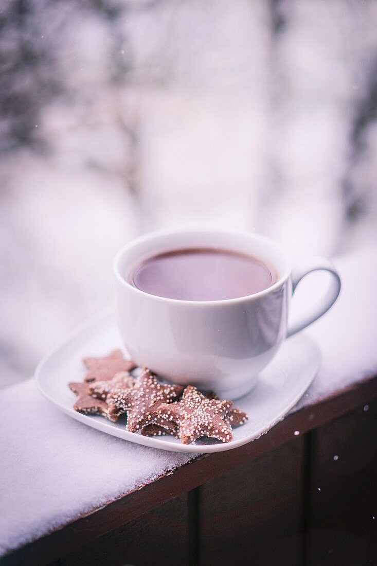 A cup of hot tea with biscuits on a saucer on a snow-covered balcony