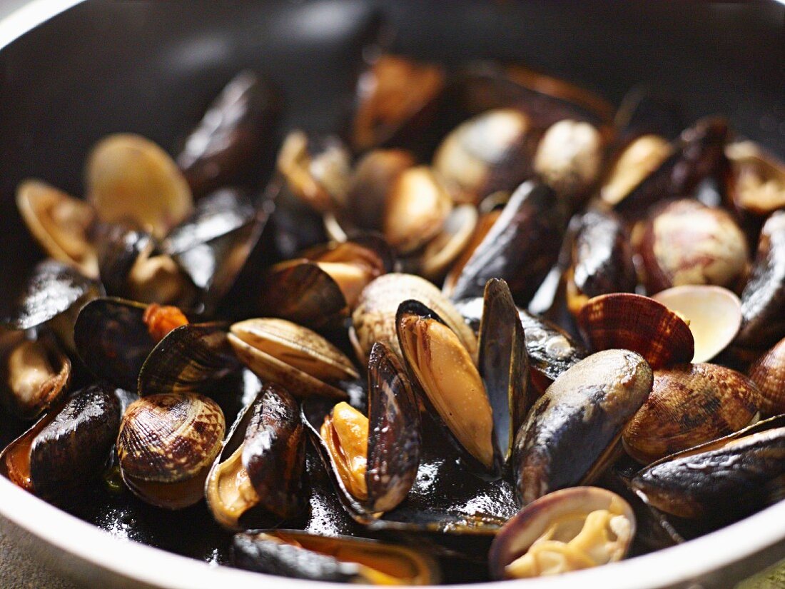 Muschelpfanne mit Mies- und Venusmuscheln