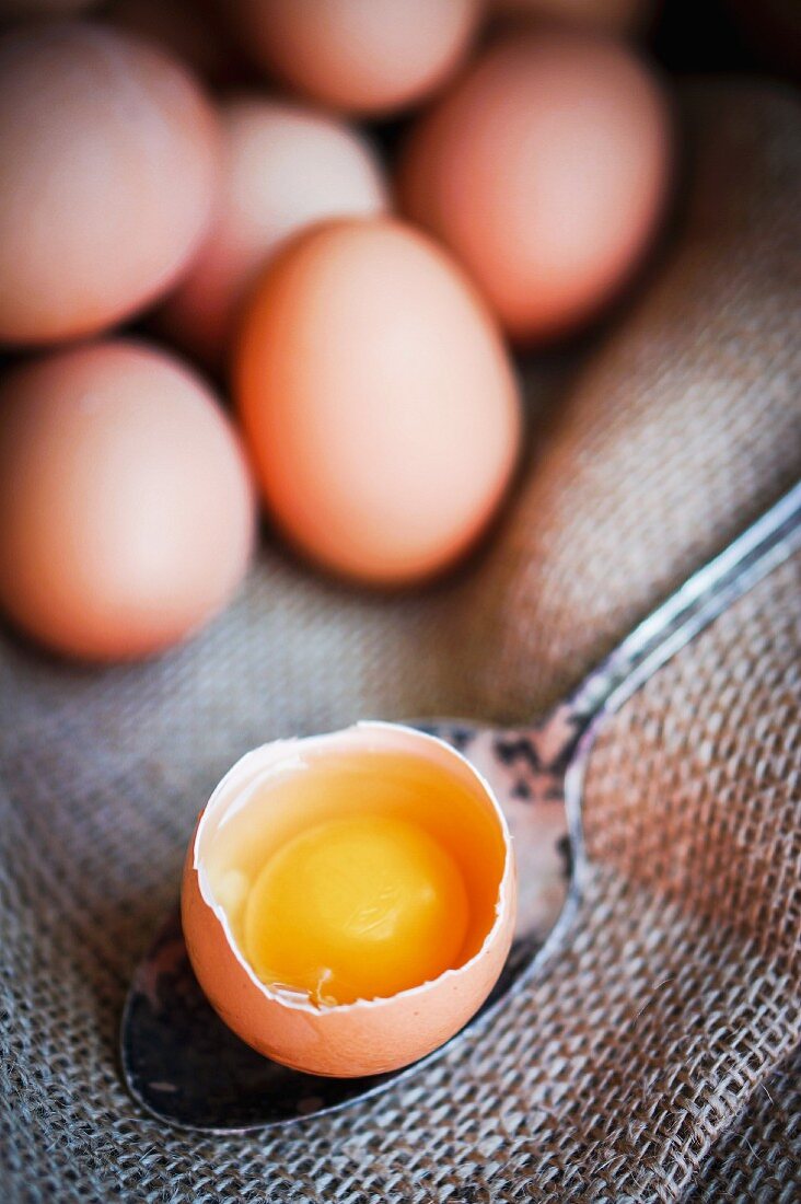 An open egg on a spoon with whole eggs in the background