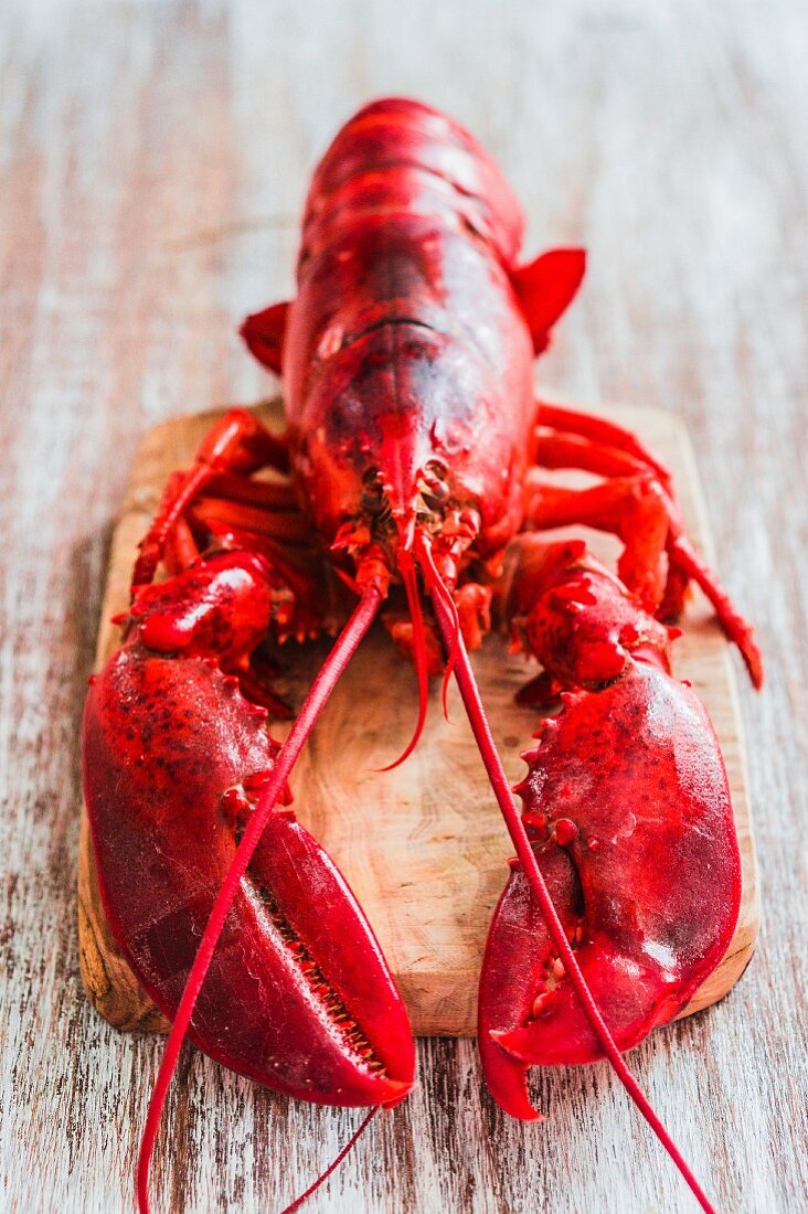 Cooked lobster on chopping board