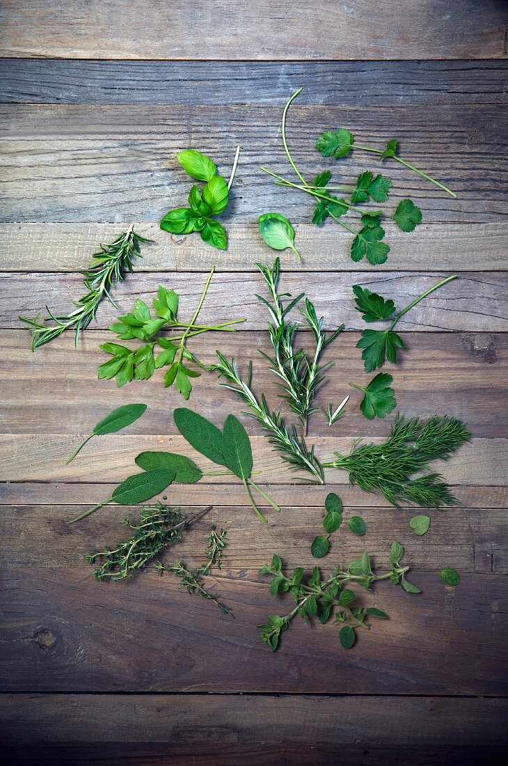 Various herbs (parsley, dill, oregano, thyme, sage, rosemary, lovage, coriander, basil) on a wooden surface