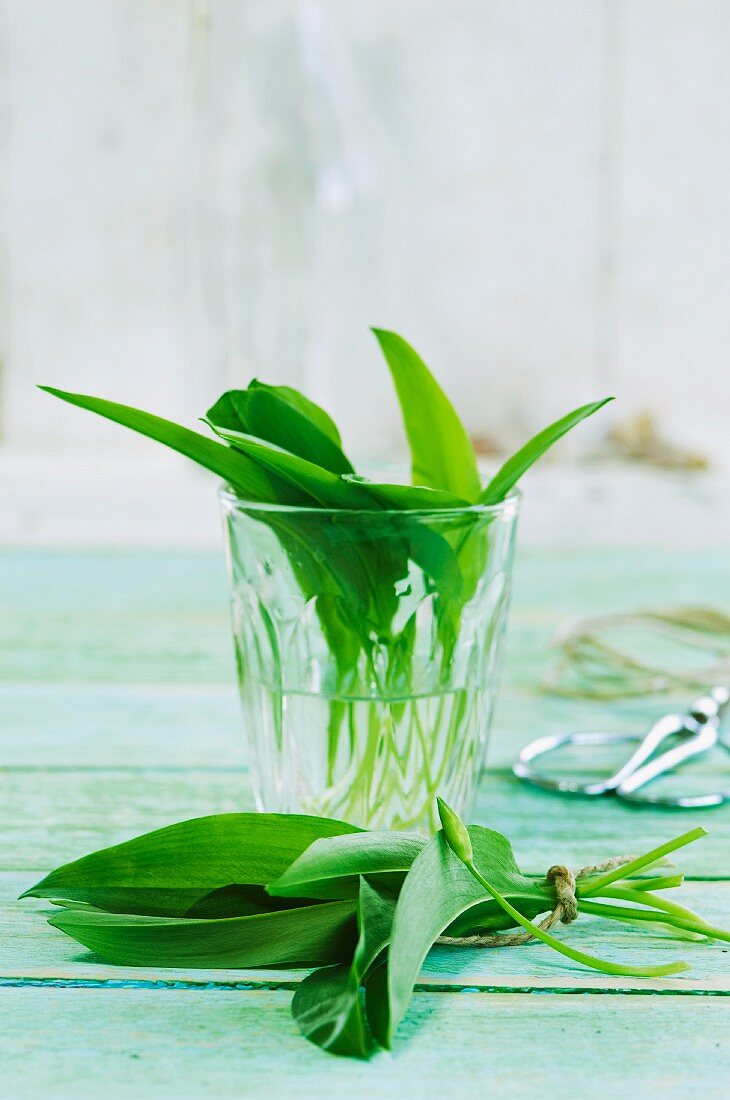 Wild garlic in a jar of water and in a bundle in front of it