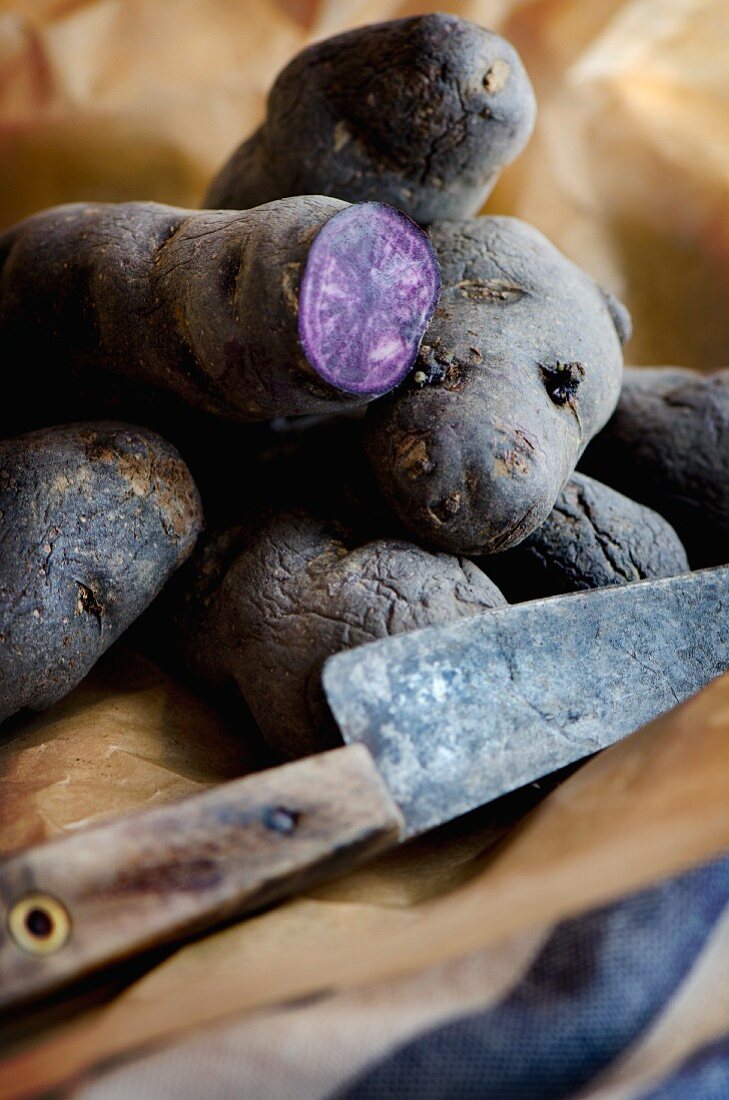 Purple potatoes on a piece of brown paper with an old knife