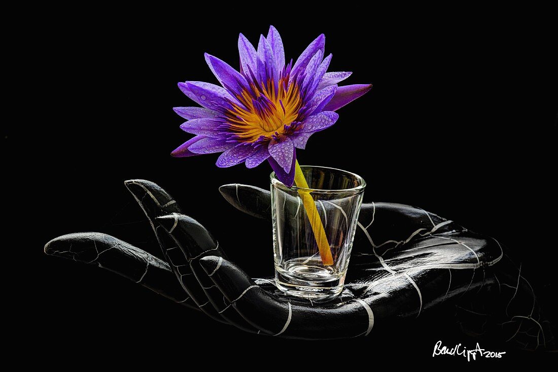 Künstliche Hand hält Glas mit exotischer Blüte