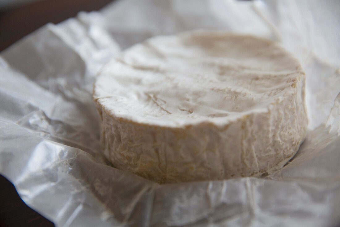 French brie cheese on a piece of paper