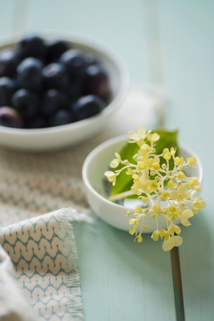 A bowl of blueberries and a dish of hydrangea buds