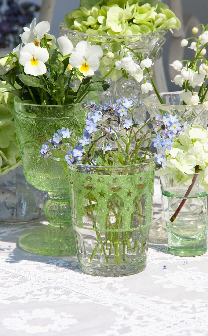 Arrangement von verschiedenen Frühlingsblumen in Glasgefässen