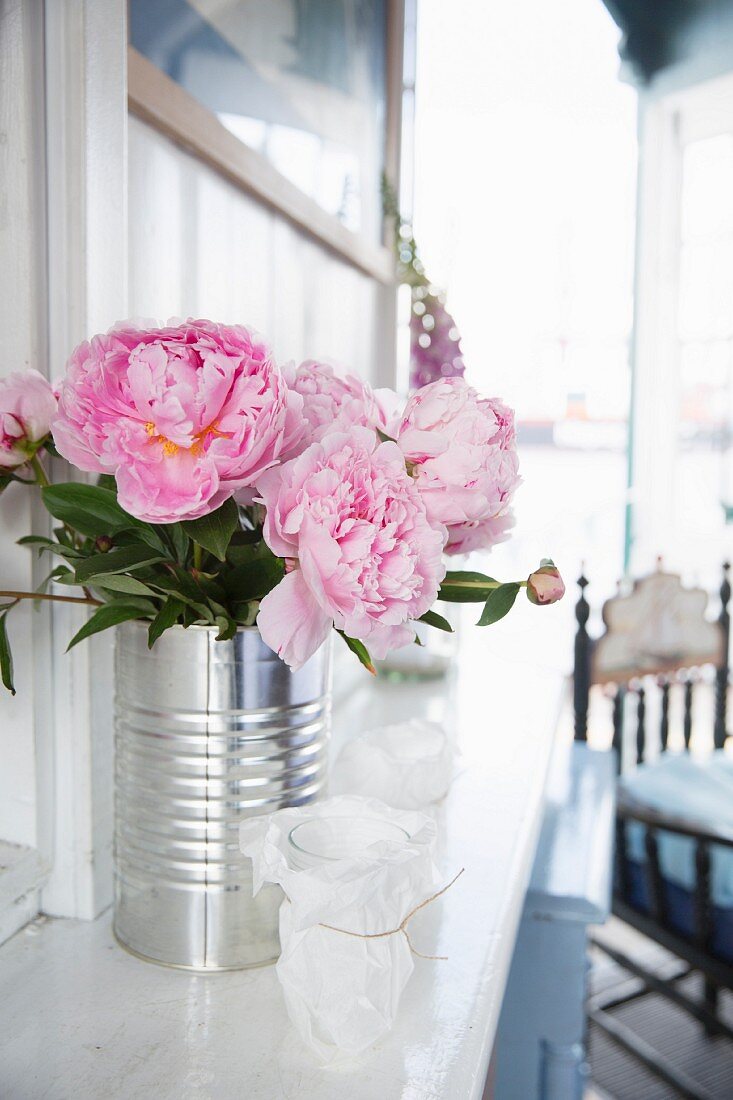 Peonies in tin can against wooden wall