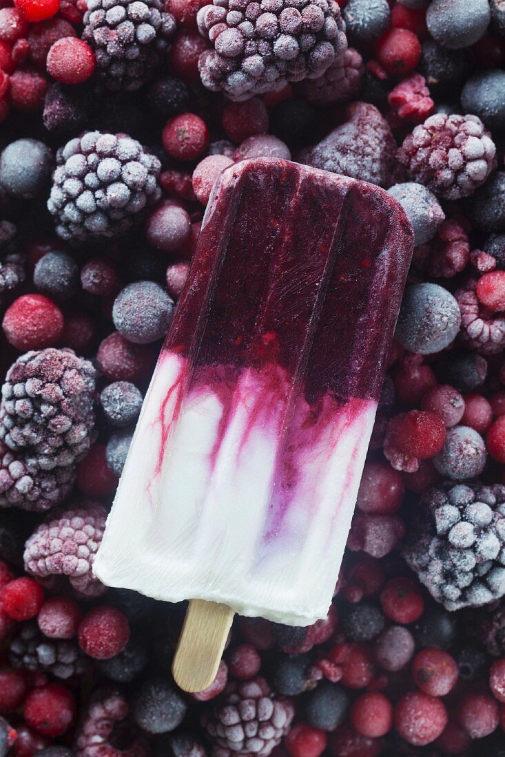 A homemade ice cream stick on iced berries