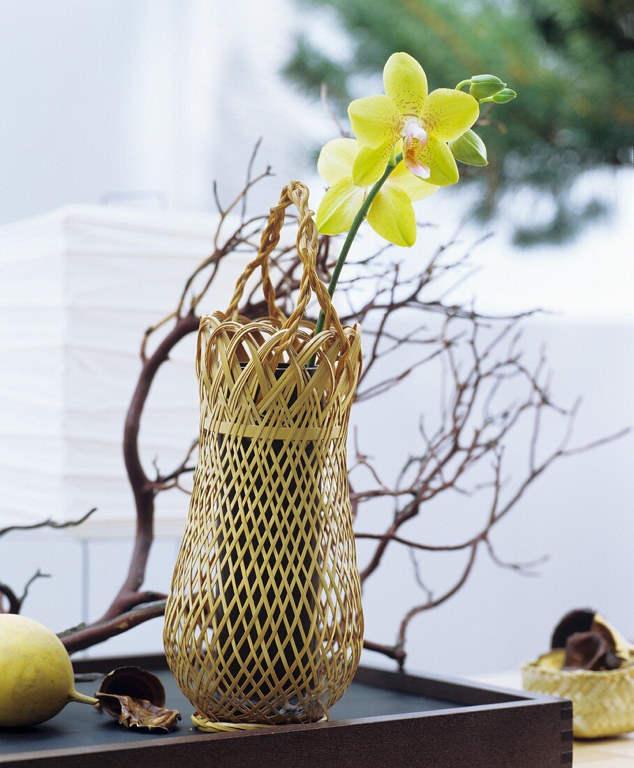 Fernöstliche Dekoidee: Geflochtene Vase mit Orchideenblüte