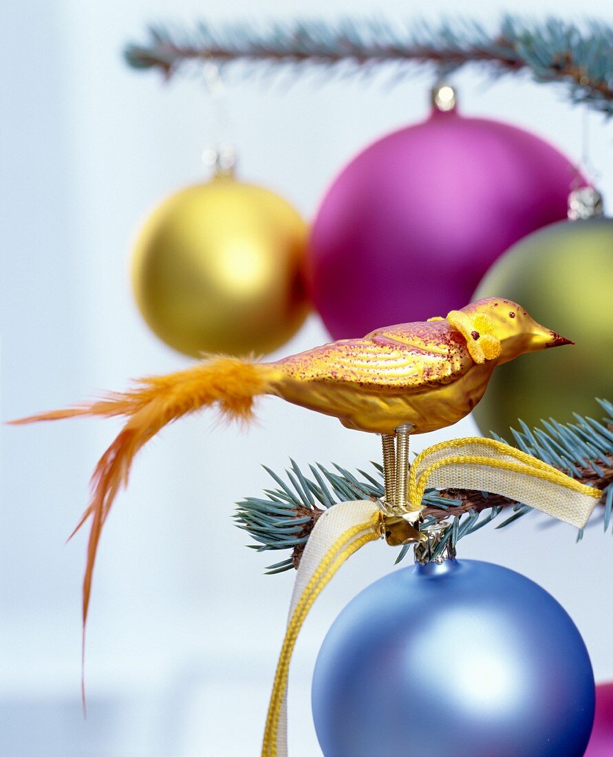 Goldener Paradiesvogel mit Federschweif als Tannenbaumschmuck