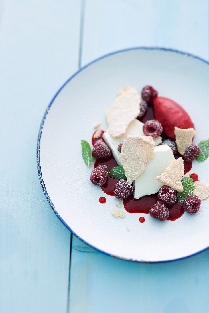 Almond Japonaise with ice cream and raspberry sauce