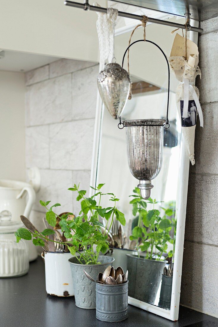 Vintage-style pots of herbs and cutlery in front of mirror