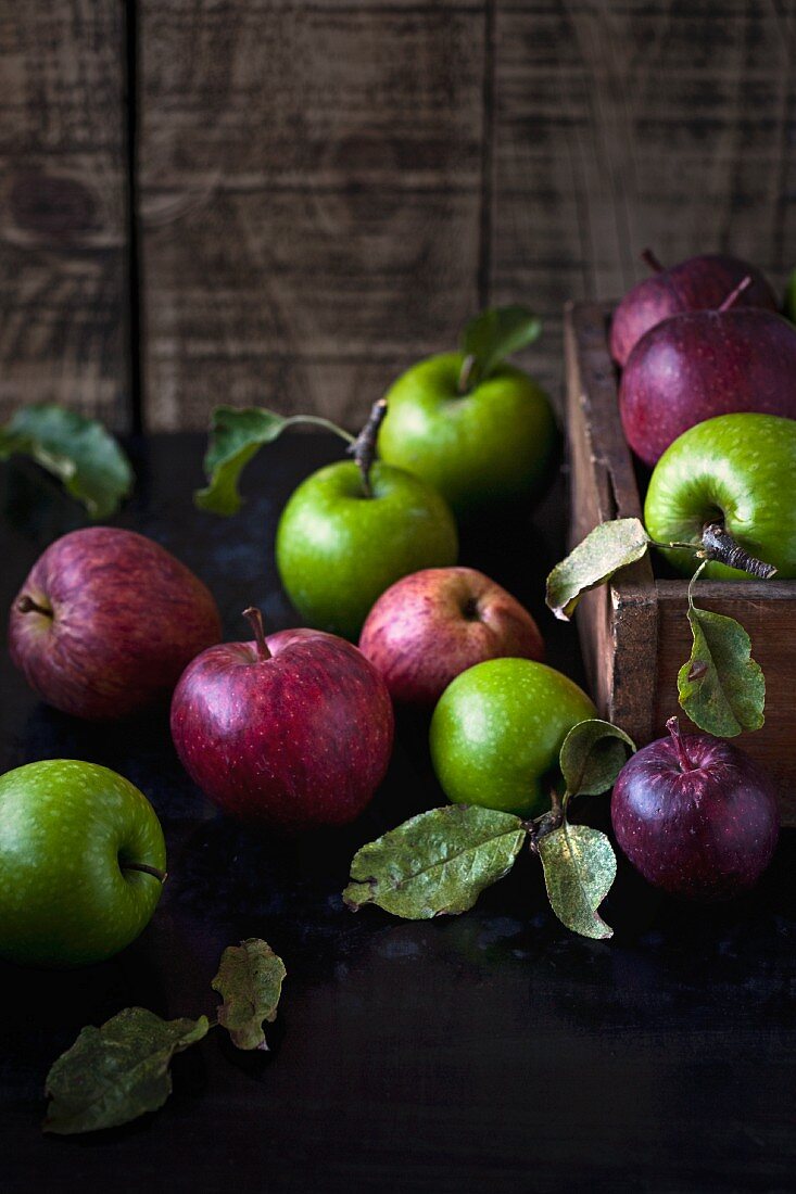 Stillleben mit roten & grünen Äpfeln