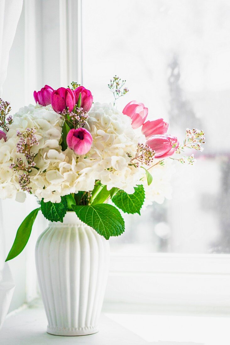weiße Hortensien mit rosafarbenen Tulpen und Wachskraut in weißer Vase vor Fenster