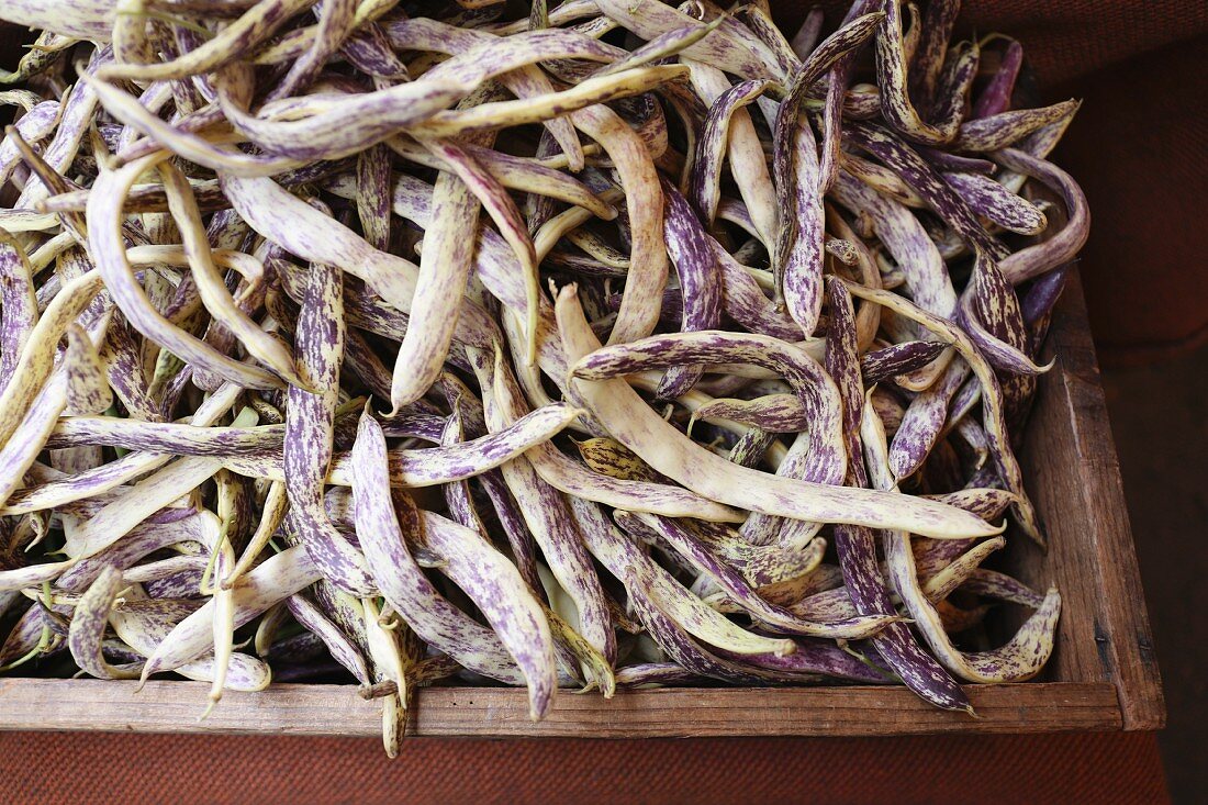 Dragons tongue beans in a wooden crate