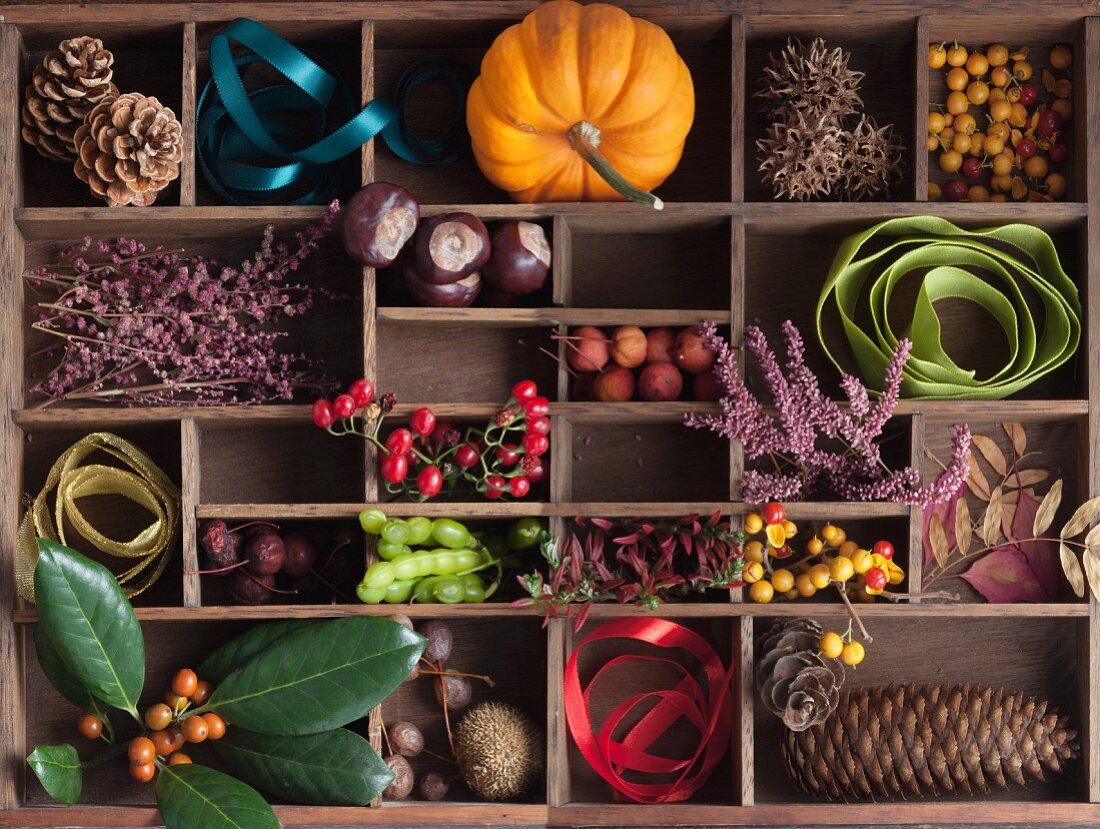 An autumnal arrangement in an old seedling tray