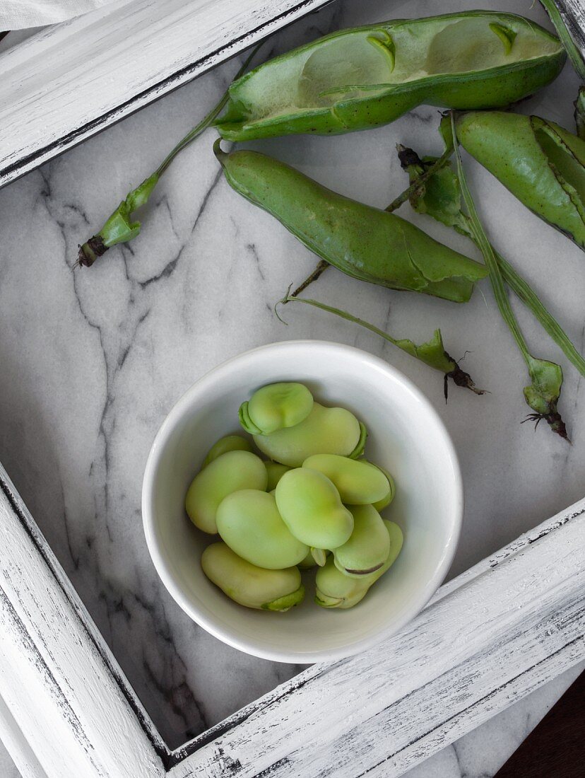 Fresh fava beans in a white bowl