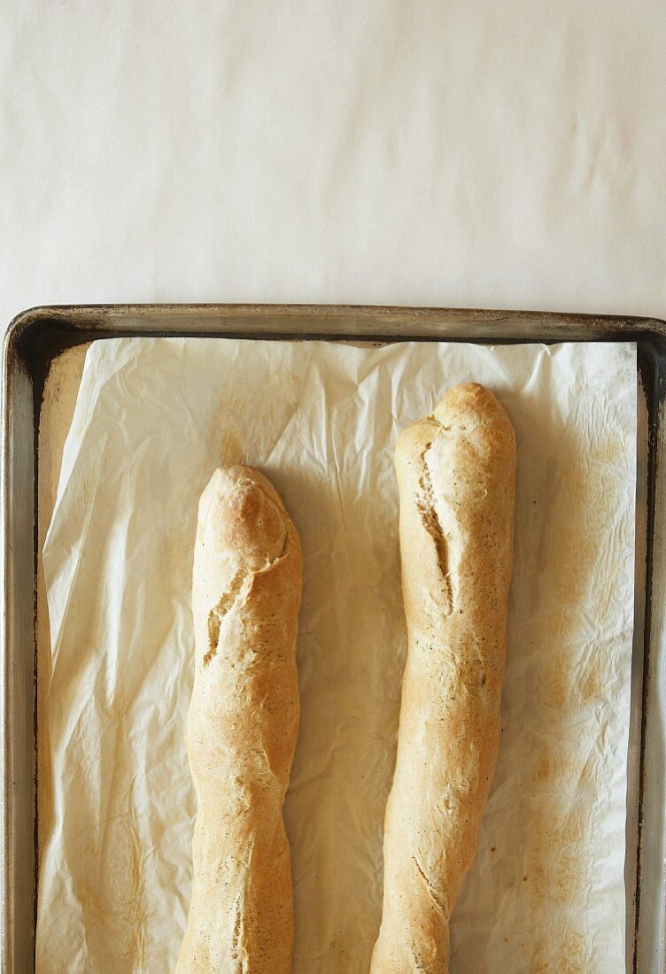 Two baguette on a baking tray lined with baking paper (seen from above)