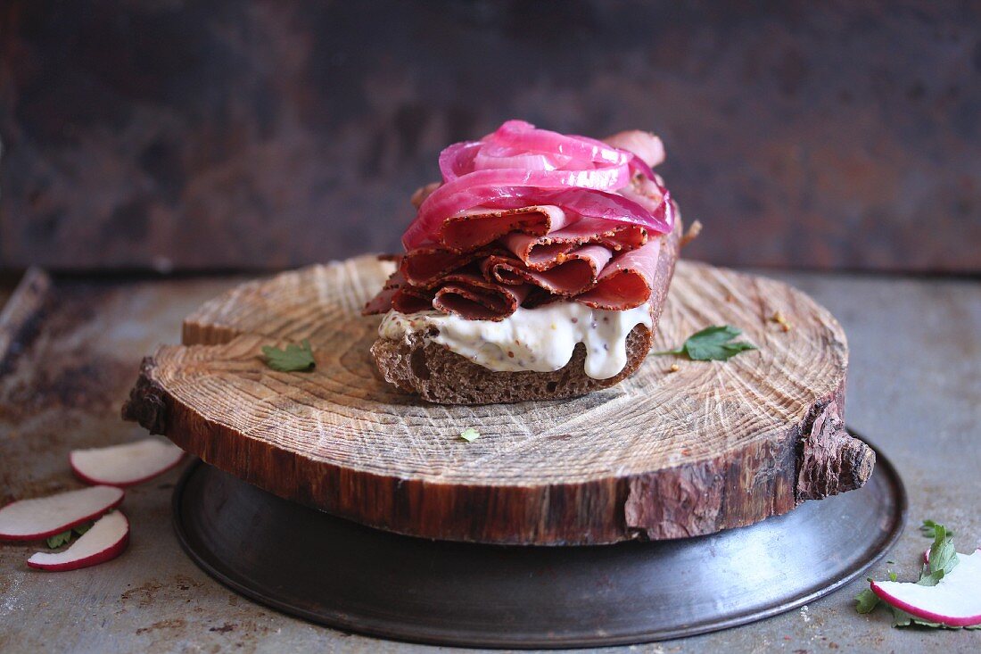 A pastrami, red onion and radish sandwich